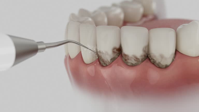 Reliable Dental contractor in Inverness, CO by Dentist Open Now